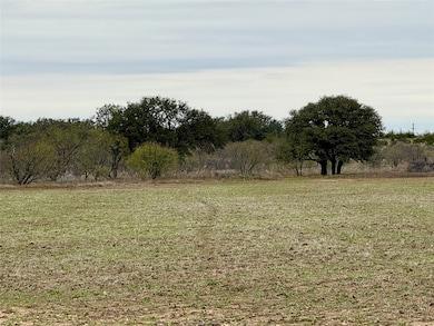 9455 County Road 189, Bangs, TX 76823 - photo 5