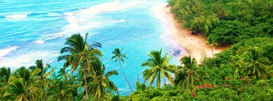 5-7235 Kuhio Hwy, Hanalei, HI - photo 6