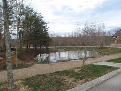 Community Pond