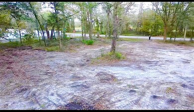 Lots of mature trees left for shade and privacy.