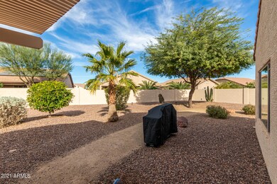 Beautiful Enclosed Backyard