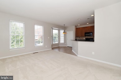 800 Maple Flats Terrace, Purcellville, VA 20132 - photo 6