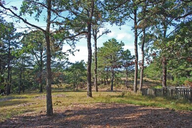 1 Dike Rd, Edgartown, MA 02539 - photo 4