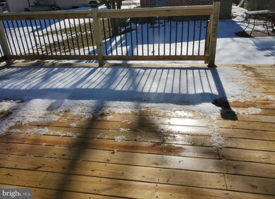 20 Willow Rd, Wallingford, PA 19086 - photo 7