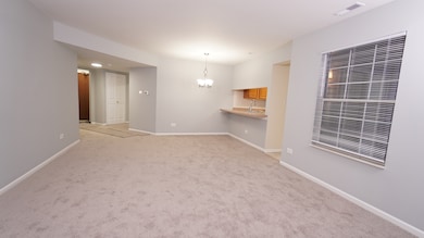 123 Willow Brook Ct unit 3, Schaumburg, IL 60195 - photo 6