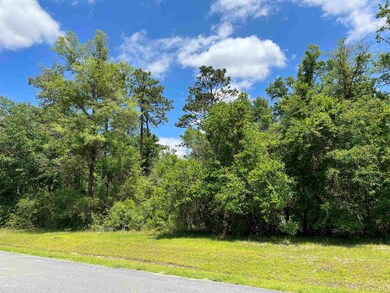 120 Sellars Dr, Crawfordville, FL 32327 - photo 4