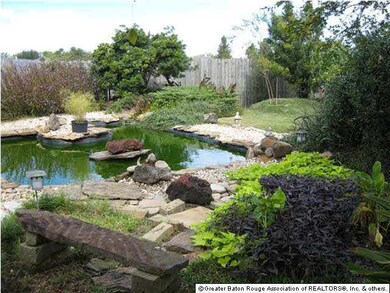 Koi Pond