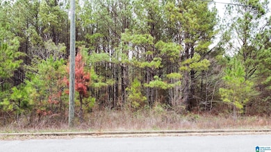 0 Stonegate Cir unit 21429355, Lincoln, AL 35096 - photo 2