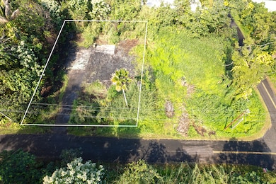 15-362 Mamo St, Pahoa, HI 96778 - photo 3