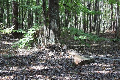 18AC Wilkesboro Hwy, Statesville, NC 28625 - photo 3