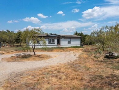 111 Skrivanek Rd, Ennis, TX 75119 - photo 5