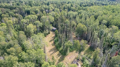3426 U S 53, Eveleth, MN 55734 - photo 3