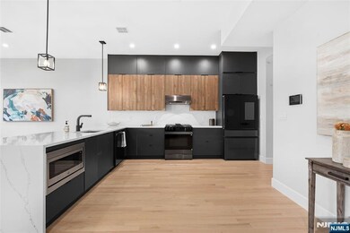 165 Delaware Ave unit 3, Jersey City, NJ 07306 - photo 6