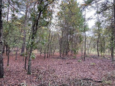 Several open areas on property