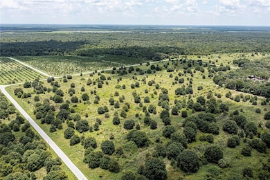 0 SW Hull Ave unit MFRN6141610, Arcadia, FL 34269 - photo 5