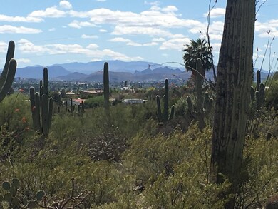 Foothills City & Mountain Views