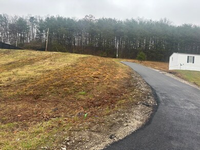 293   Lot 3 Freeman Branch Rd unit Lot 3, East Bernstadt, KY 40729 - photo 4