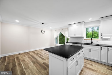 43 Gunning Ln unit 12, Downingtown, PA 19335 - photo 7