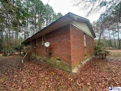 53 Drylog Ave, Kingstree, SC 29556 - photo 7