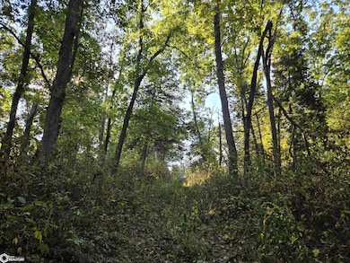 0 Tulip Ave, Floris, IA 52560 - photo 6