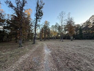 395 Texas 63, Burkeville, TX 75932 - photo 7