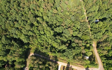 Additional View