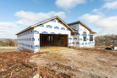 1001 W Jay St, Ozark, MO 65721 - photo 3