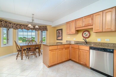 14100 Sheffield Dr unit 302, Homer Glen, IL 60491 - photo 5