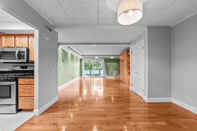 57 Broadlawn Park unit 21A, Chestnut Hill, MA 02467 - photo 5