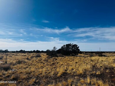US HWY 180 4 lots Photo 28