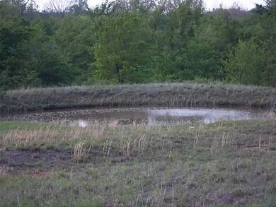 Other. Pond