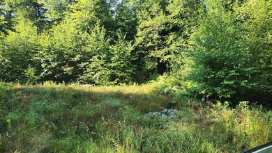 TBD1 Valley Rd, New Durham, NH 03855 - photo 6