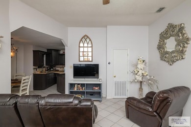 464 Palm Haven Dr, Brownsville, TX 78521 - photo 3