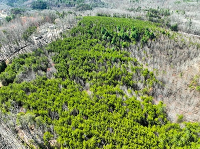 0 Belvedere Dr, Fieldale, VA 24089 - photo 7