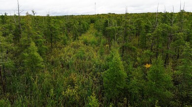 TBD State Highway 210 W, McGregor, MN 55760 - photo 2