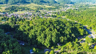 TBD Richardson St, Lebanon, VA 24266 - photo 6