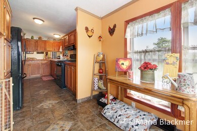 7028 O Brien Rd, Hubbardston, MI 48845 - photo 2