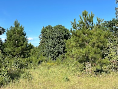 0 Netherland Dr, Midville, GA 30441 - photo 3