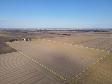 1431 County Road 800, Tolono, IL 61880 - photo 7