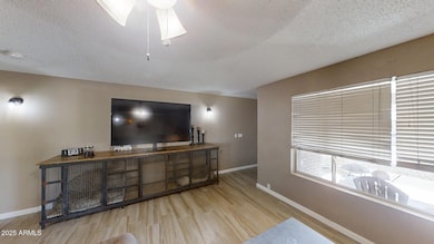 Living-Room 3