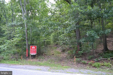 31 Woodmont Rd, Hancock, MD 21750 - photo 4