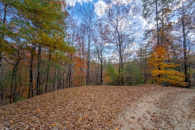 Lot 24 Rivers Edge Trail, Franklin, NC 28734 - photo 6