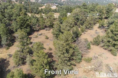 21455 Saddleback Rd, Reno, NV 89521 - photo 2