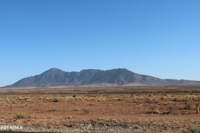 TBD W Desert Mountain Trail, Bisbee, AZ 85603 - photo 3