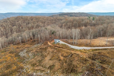 431 Bald Knob Cummings Cove Roads, Doyle, TN 38559 - photo 6