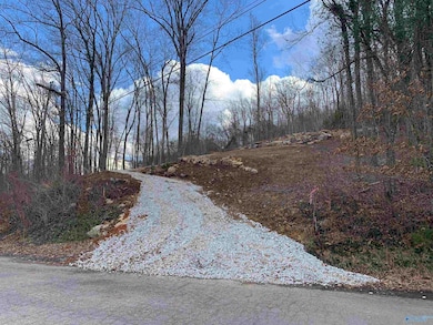 LOT 22 Snug Harbor Rd, Grant, AL 35747 - photo 6