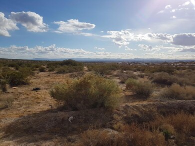 0 Onalaska Ave unit 886250, Horizon City, TX 79928 - photo 4