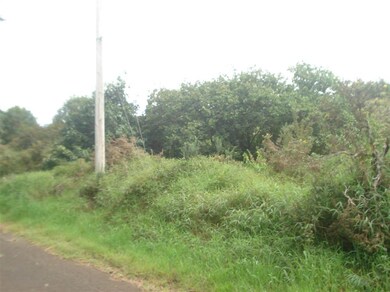 000 Ehu Iki Place, Makawao, HI 96768 - photo 4