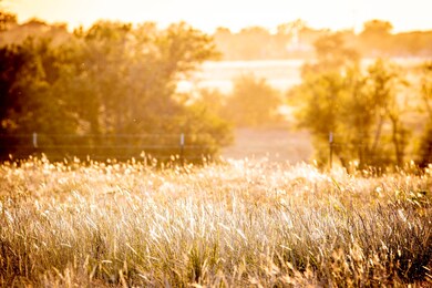 16075 Fm 107, Moody, TX 76557 - photo 2