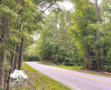 0 Jb Denton Rd, Heath Springs, SC 29058 - photo 3